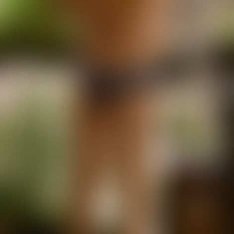 Lenny_60, Homme, 30 ans, Evere (2)